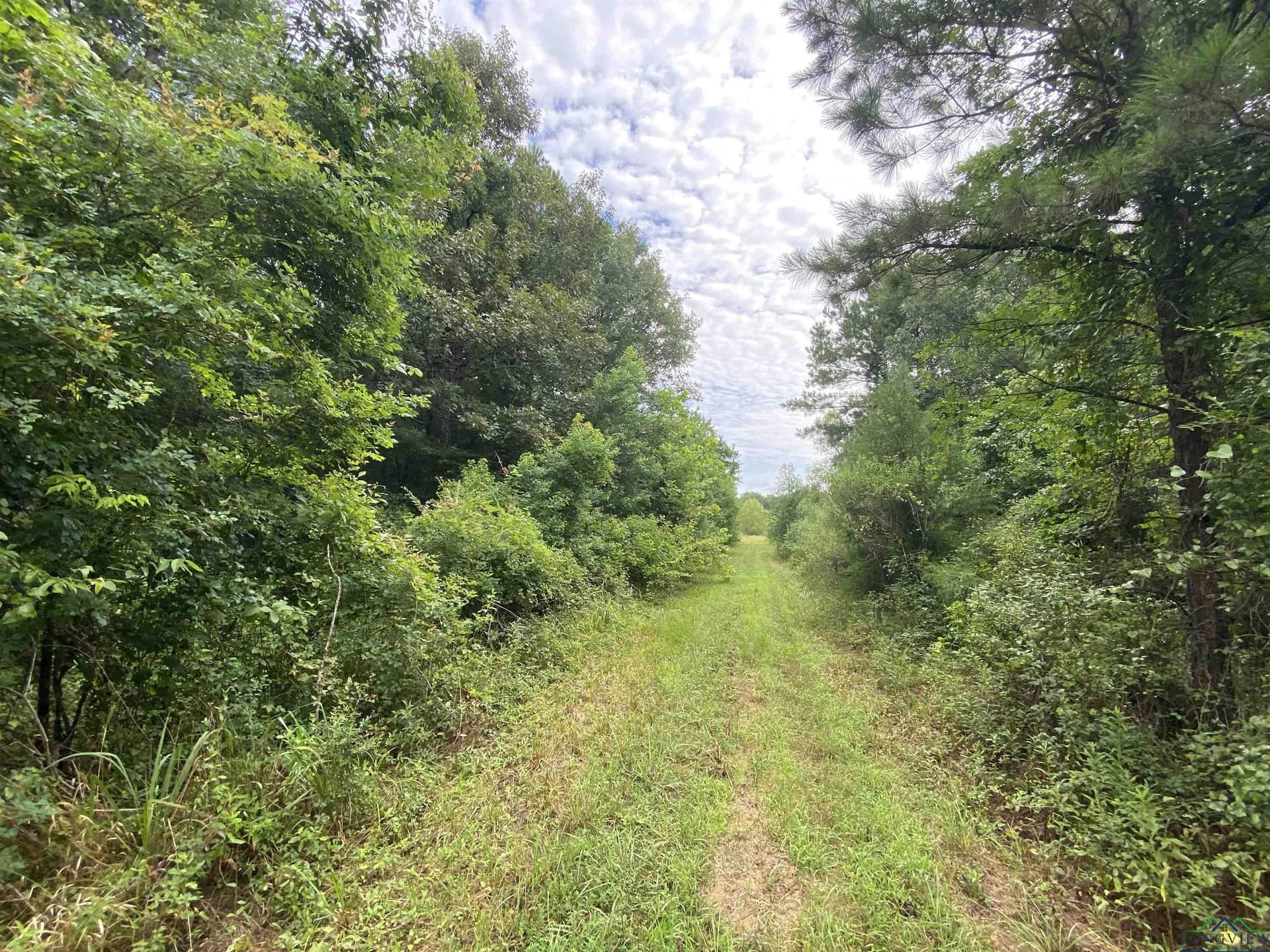 60 acres in Panola County - photo 21