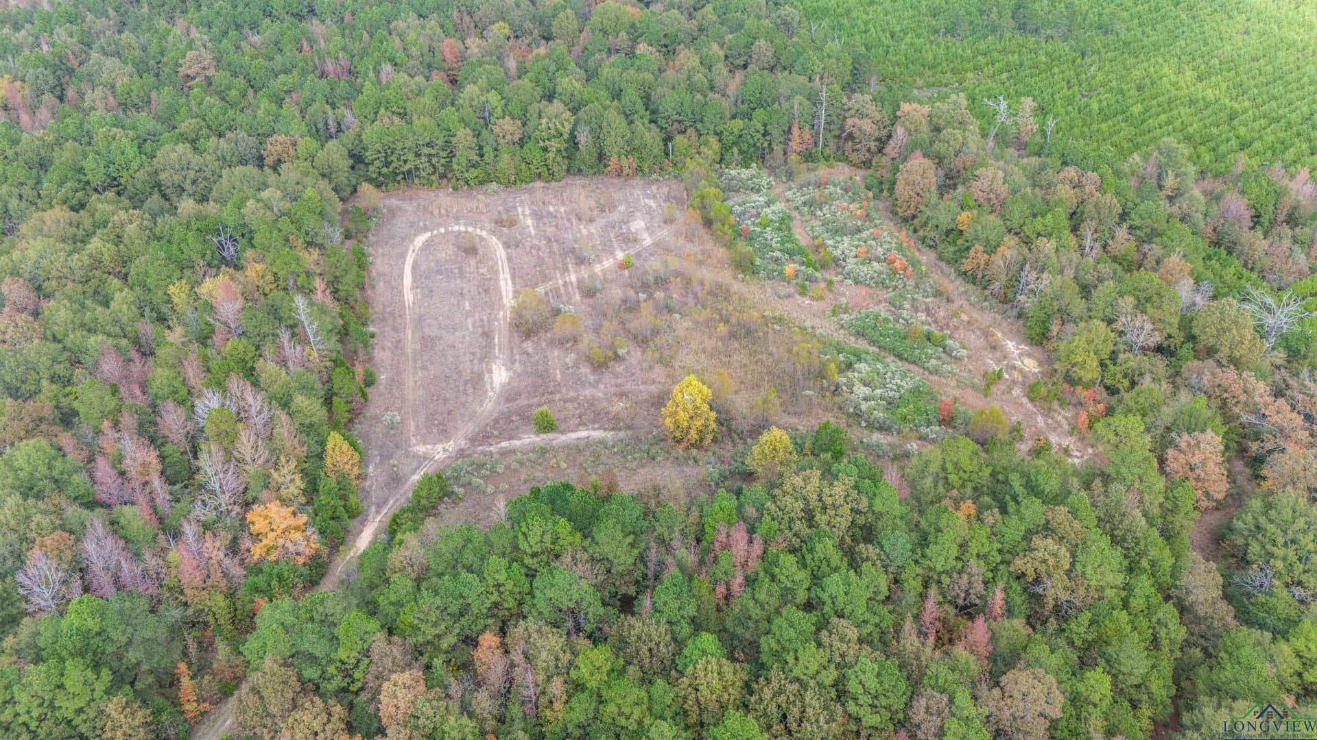 60 acres in Panola County - photo 8