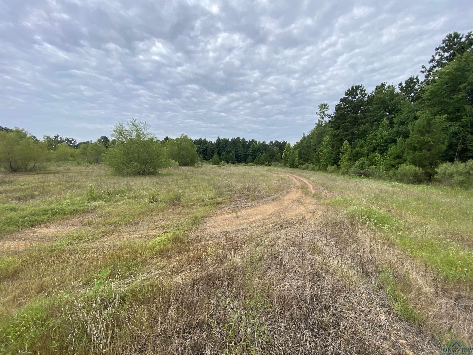 60 acres in Panola County - photo 28