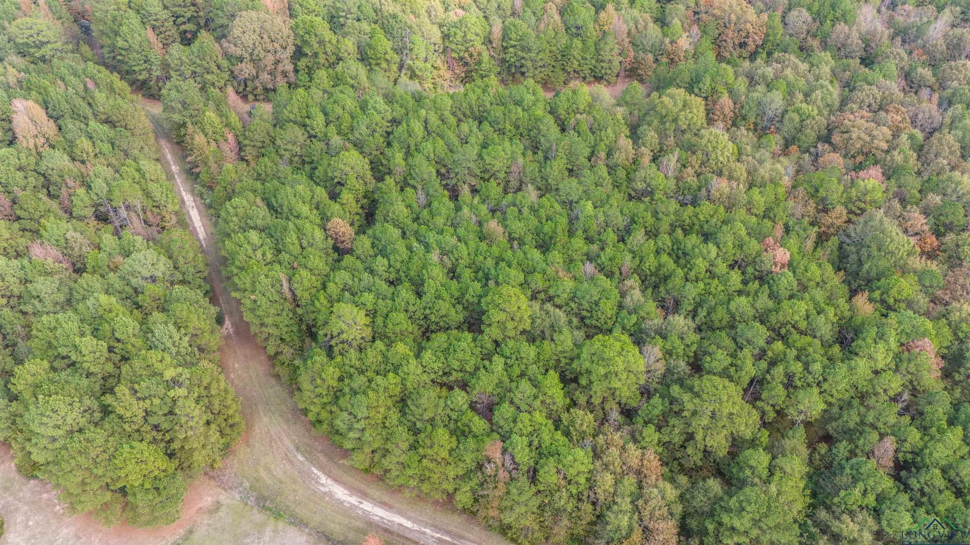 60 acres in Panola County - photo 38