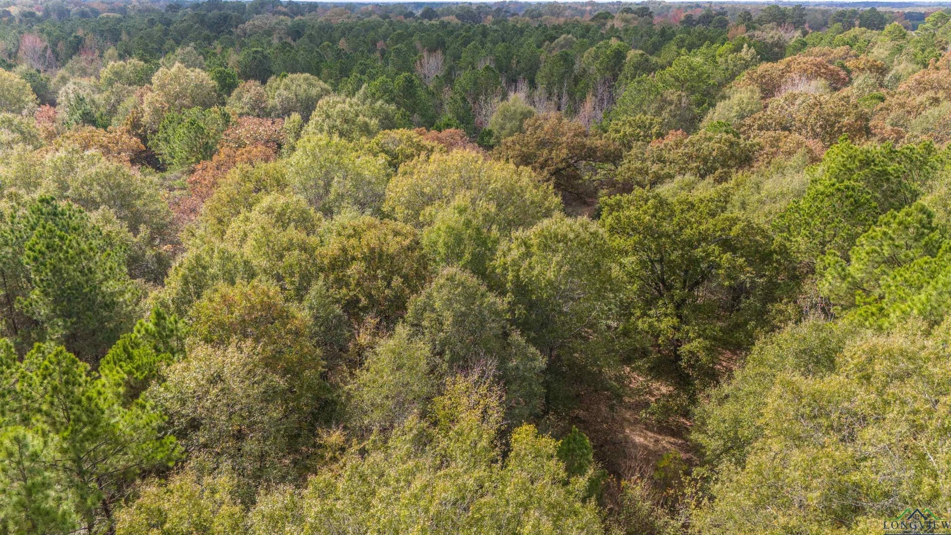60 acres in Panola County - photo 41