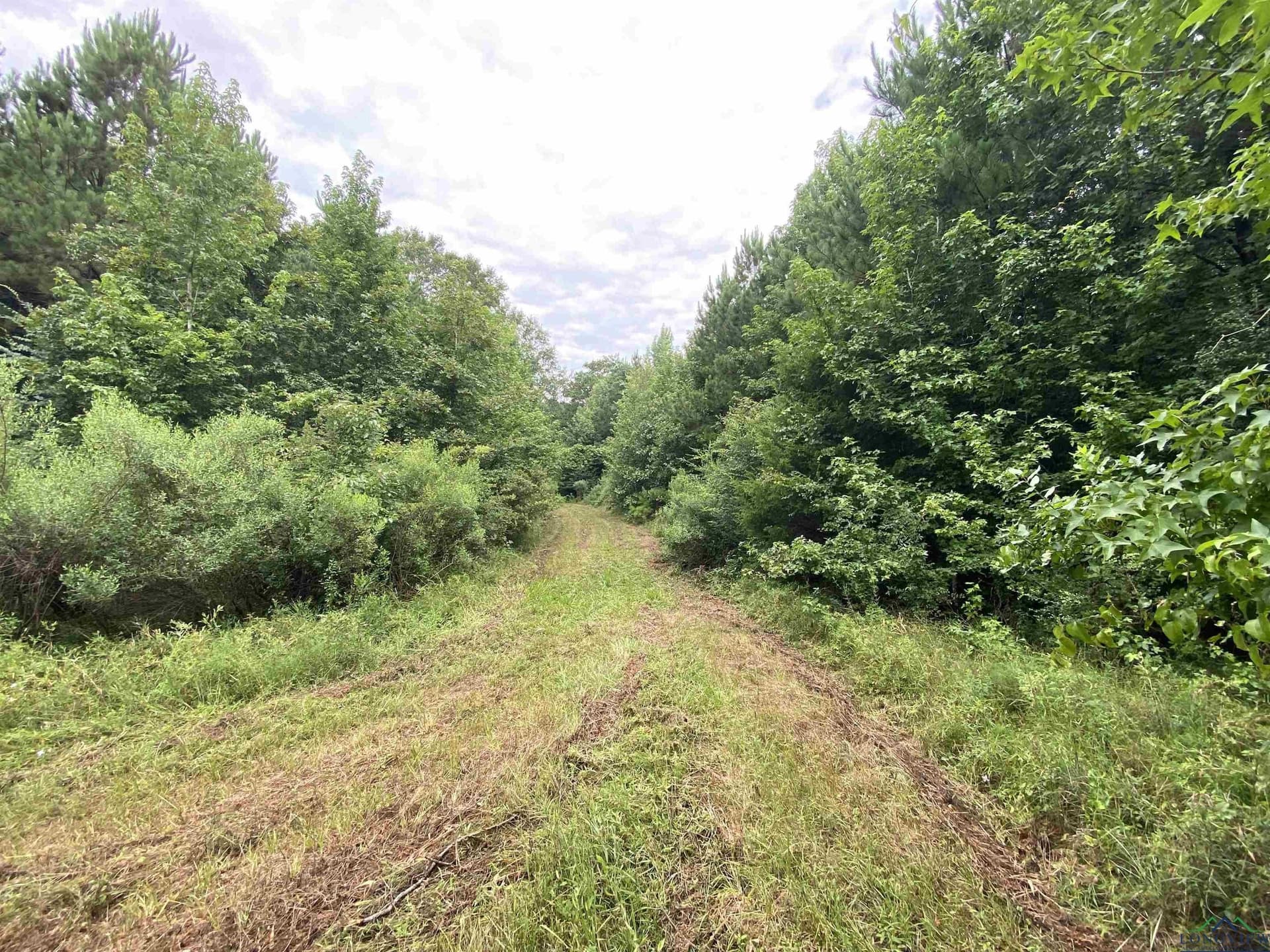 60 acres in Panola County - photo 20