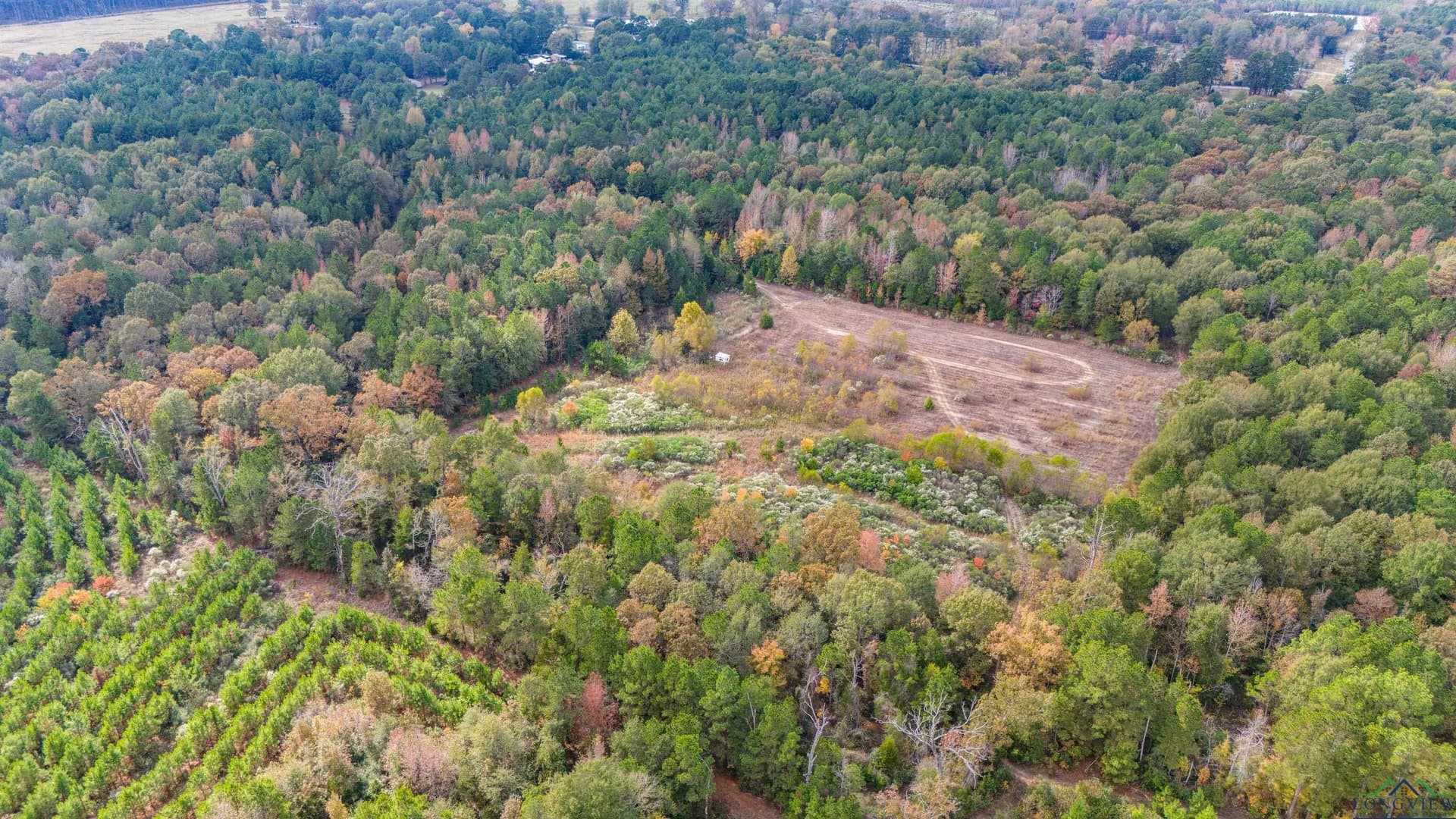 60 acres in Panola County - photo 42