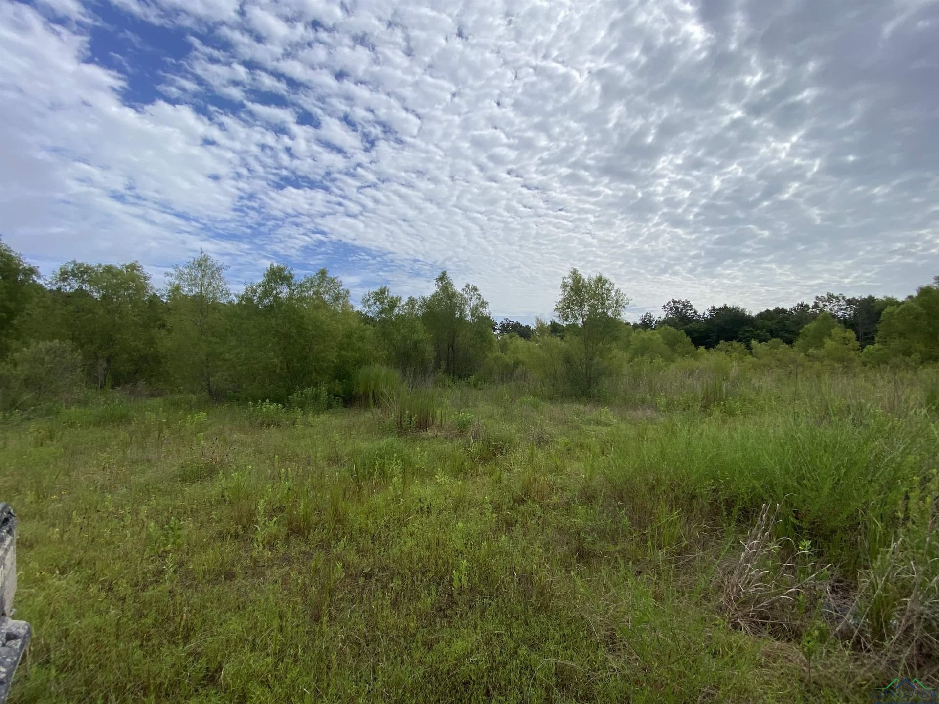 60 acres in Panola County - photo 24