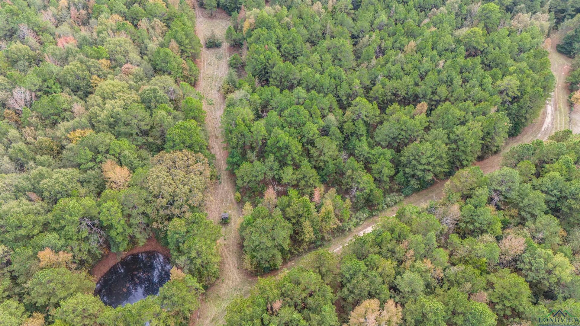 60 acres in Panola County - photo 2