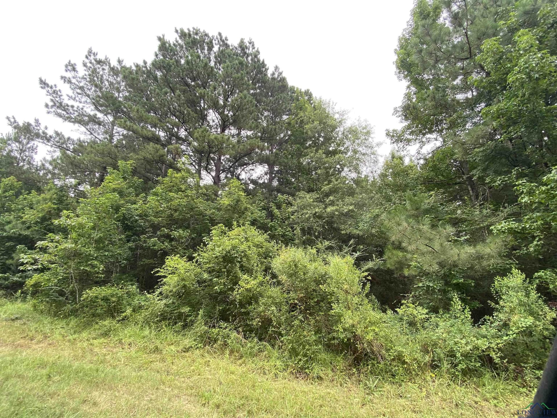 60 acres in Panola County - photo 13