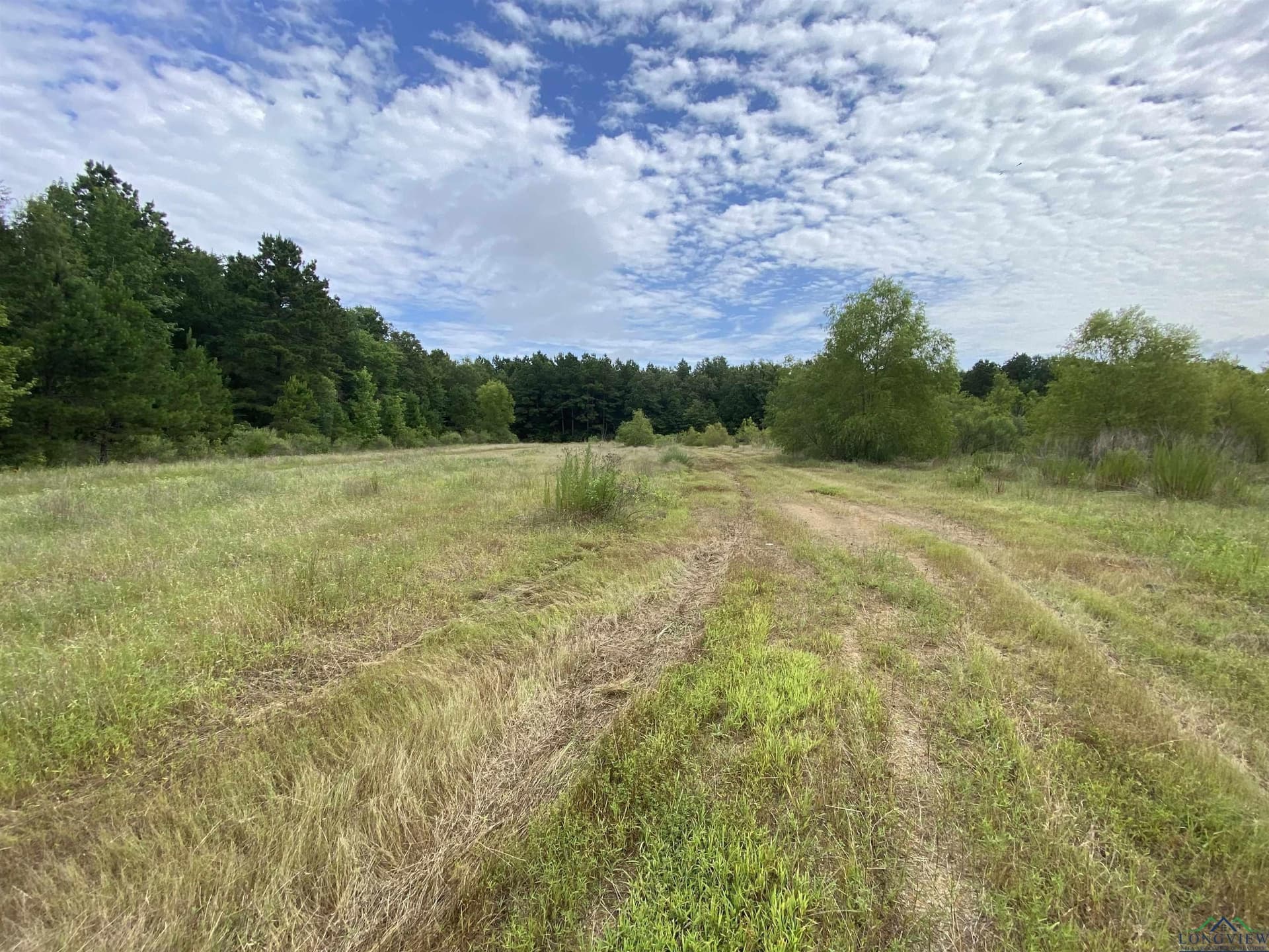 60 acres in Panola County - photo 25