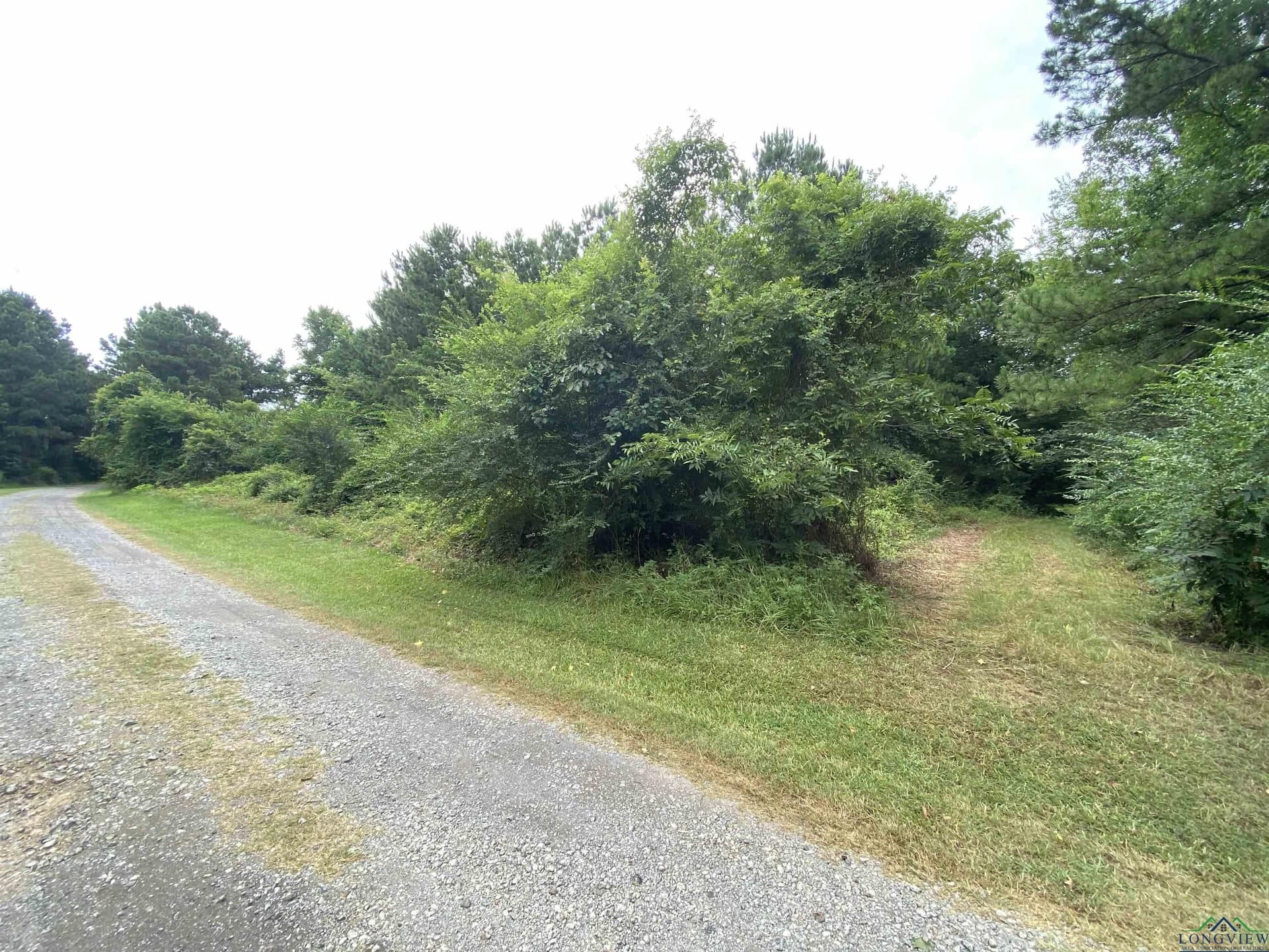 60 acres in Panola County - photo 44