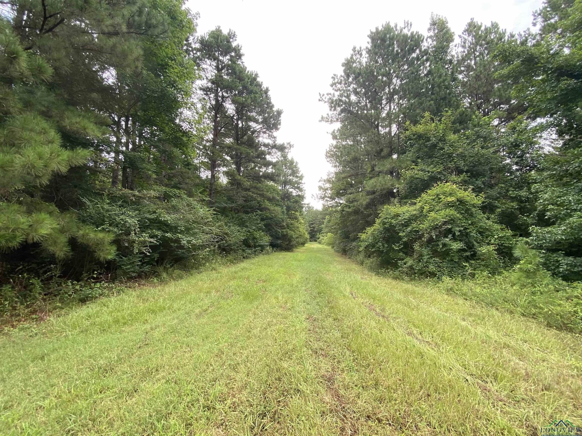 60 acres in Panola County - photo 16