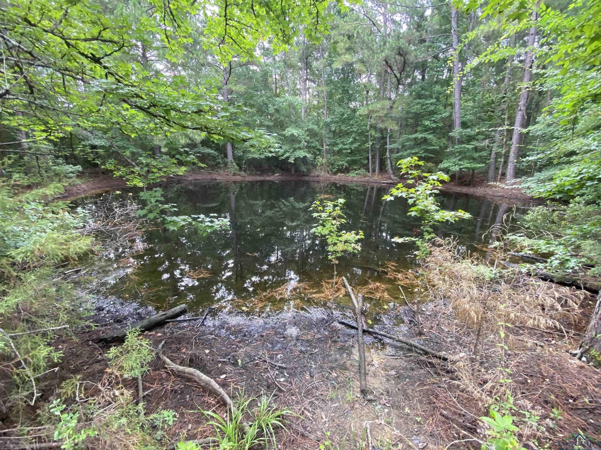 60 acres in Panola County - photo 3