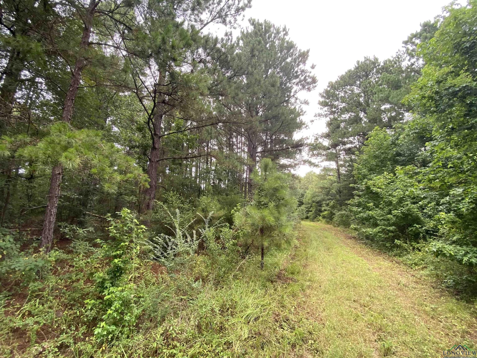 60 acres in Panola County - photo 14