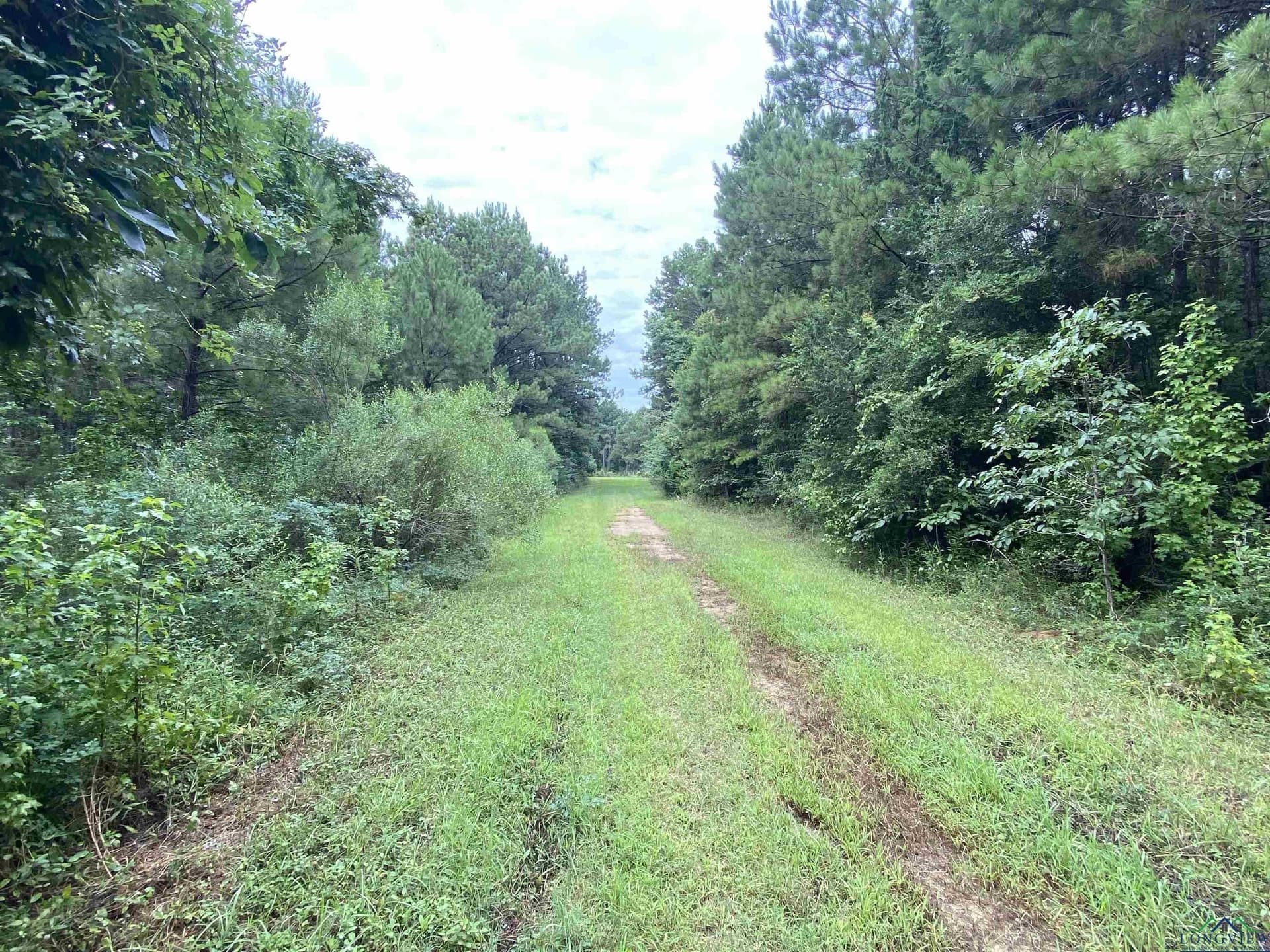 60 acres in Panola County - photo 29