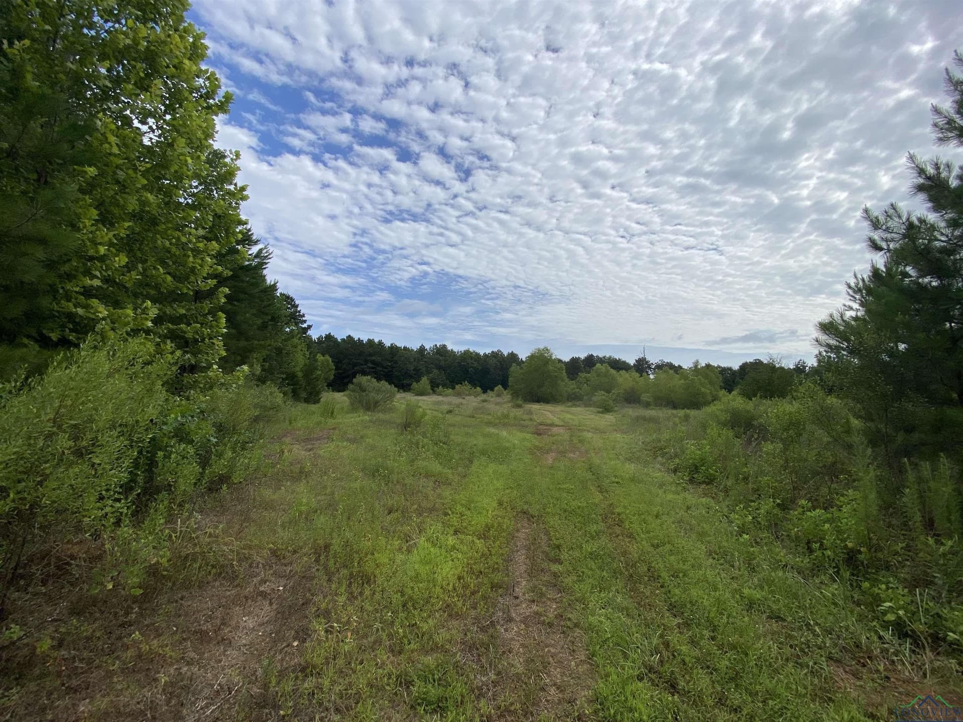 60 acres in Panola County - photo 22