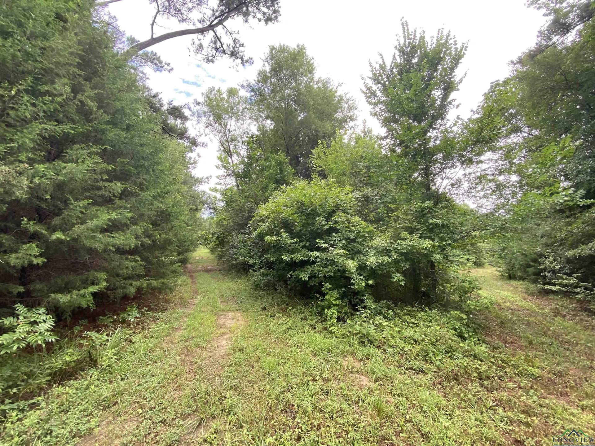 60 acres in Panola County - photo 19