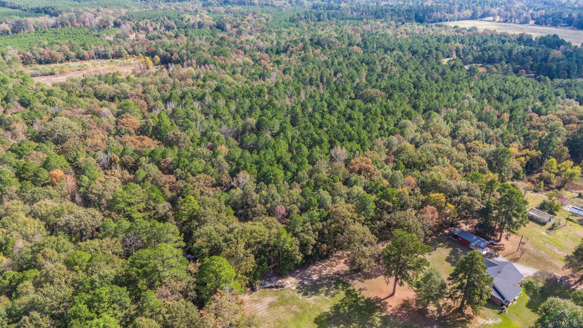 60 acres in Panola County - photo 37