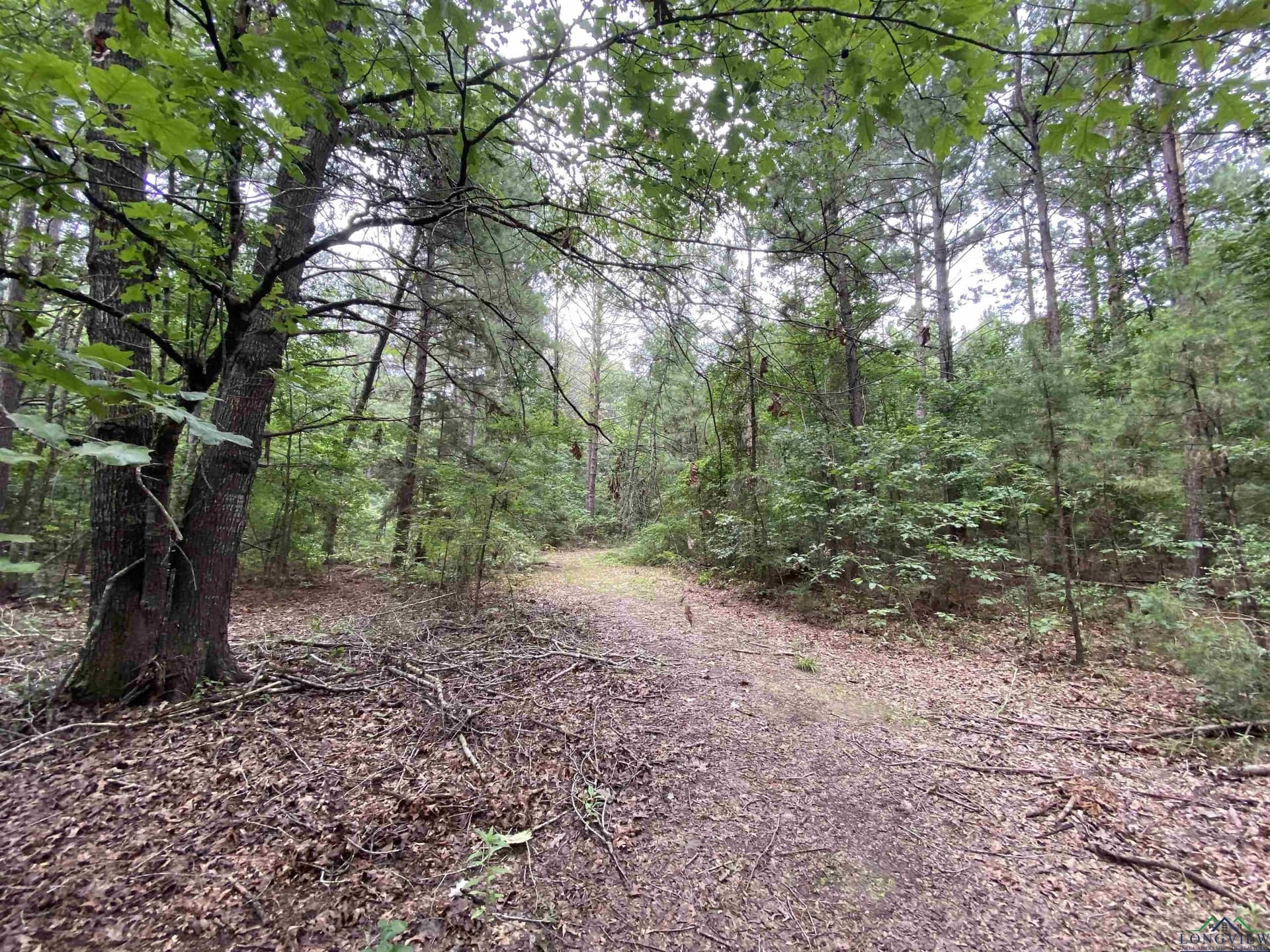 60 acres in Panola County - photo 34