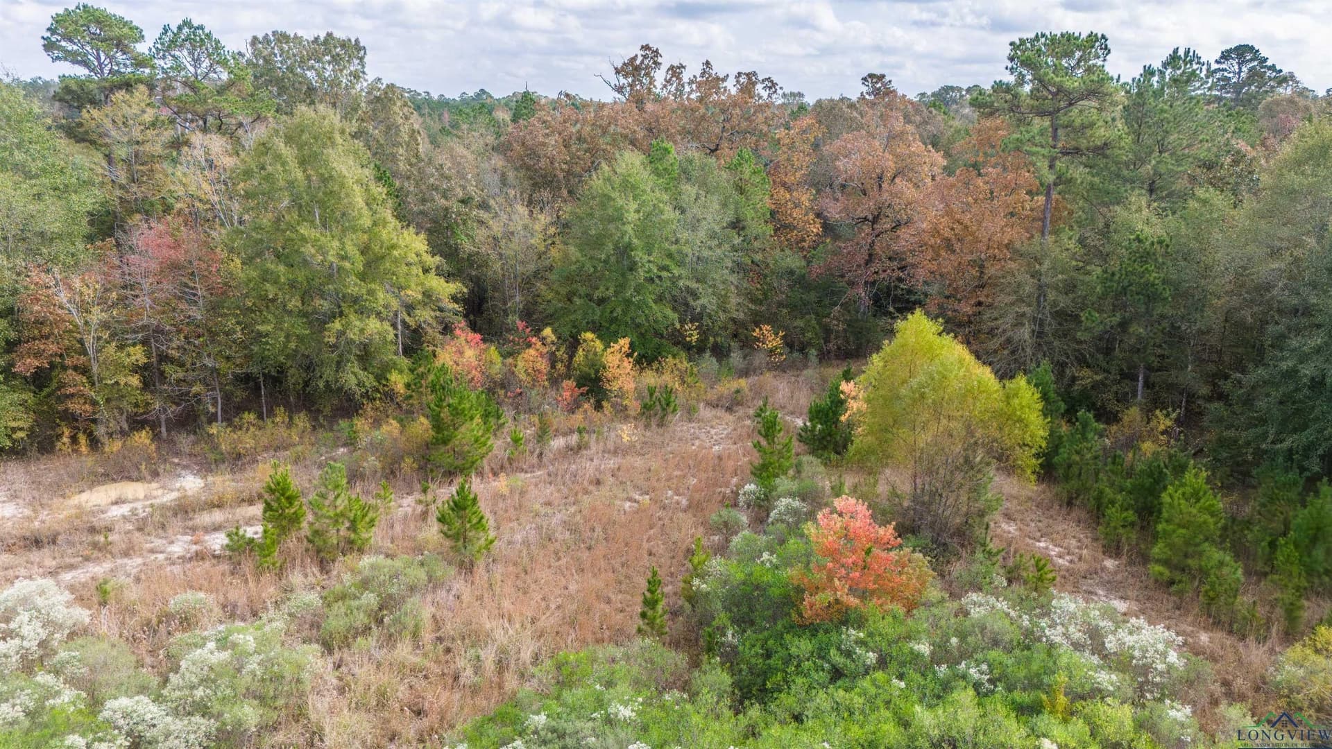 60 acres in Panola County - photo 40