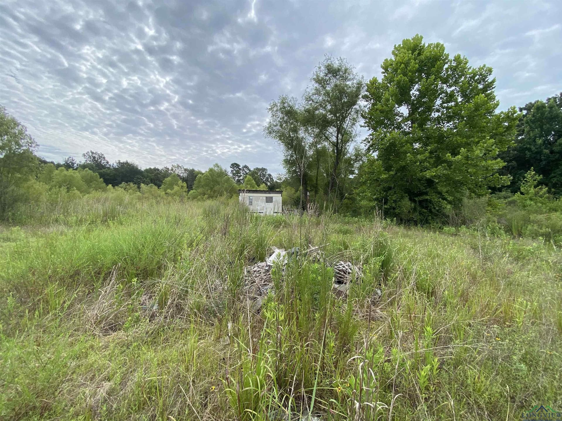 60 acres in Panola County - photo 23