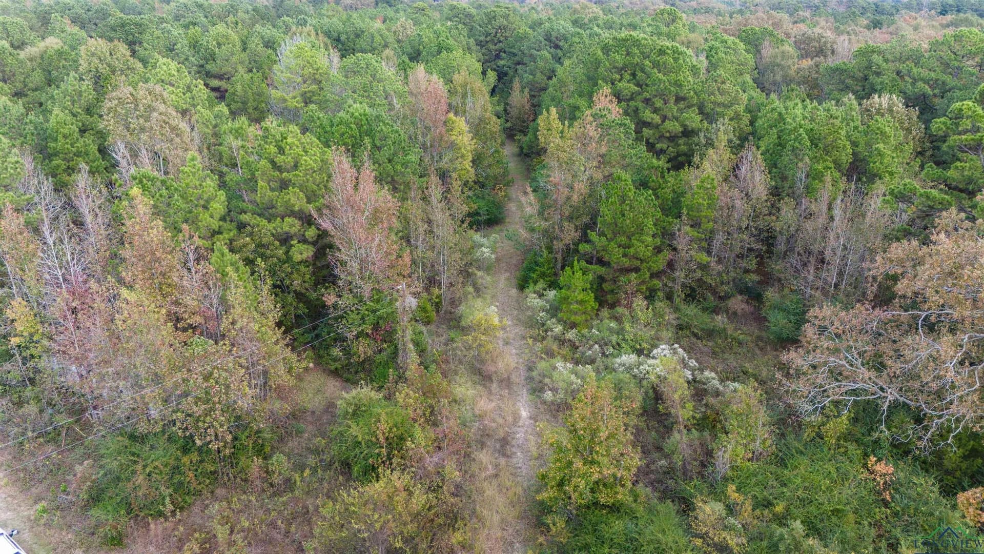 60 acres in Panola County - photo 5