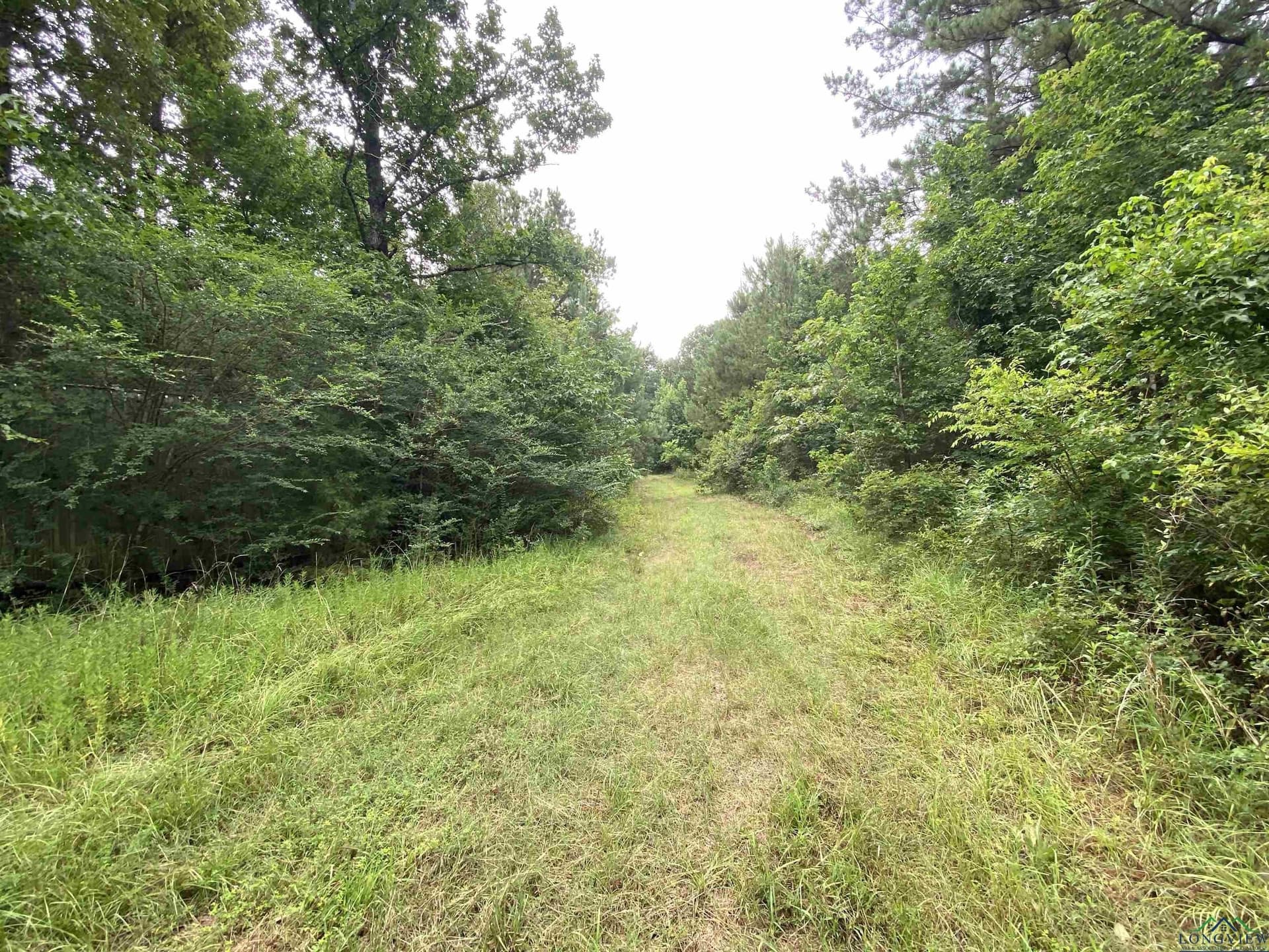 60 acres in Panola County - photo 12
