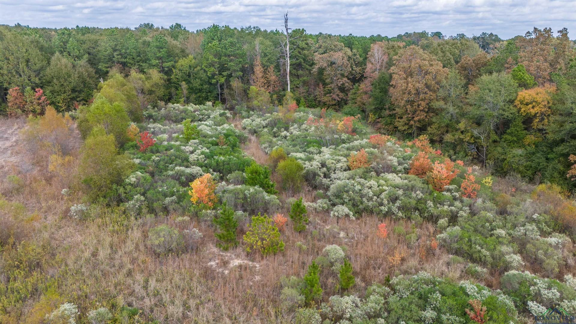 60 acres in Panola County - photo 39