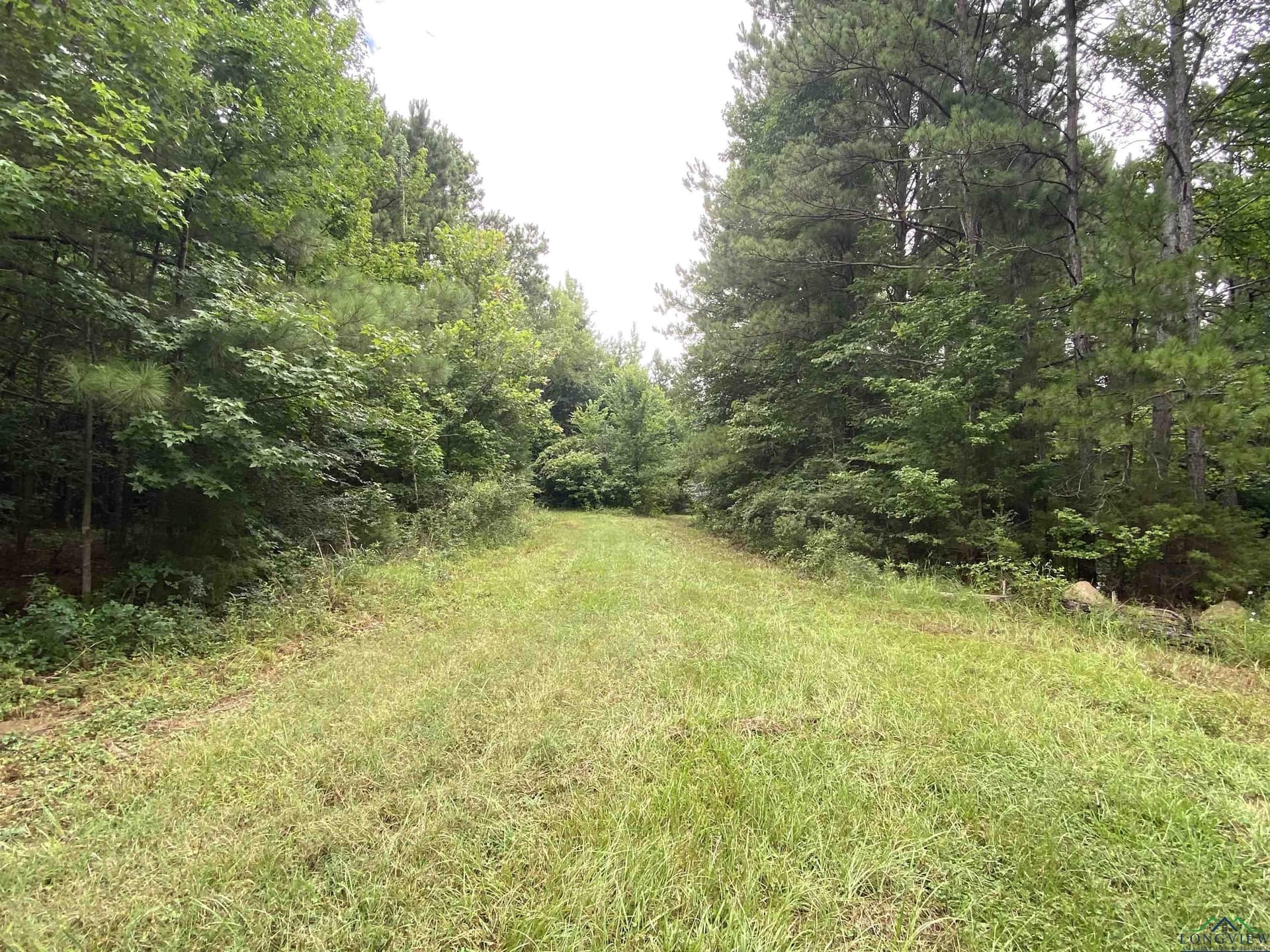 60 acres in Panola County - photo 18