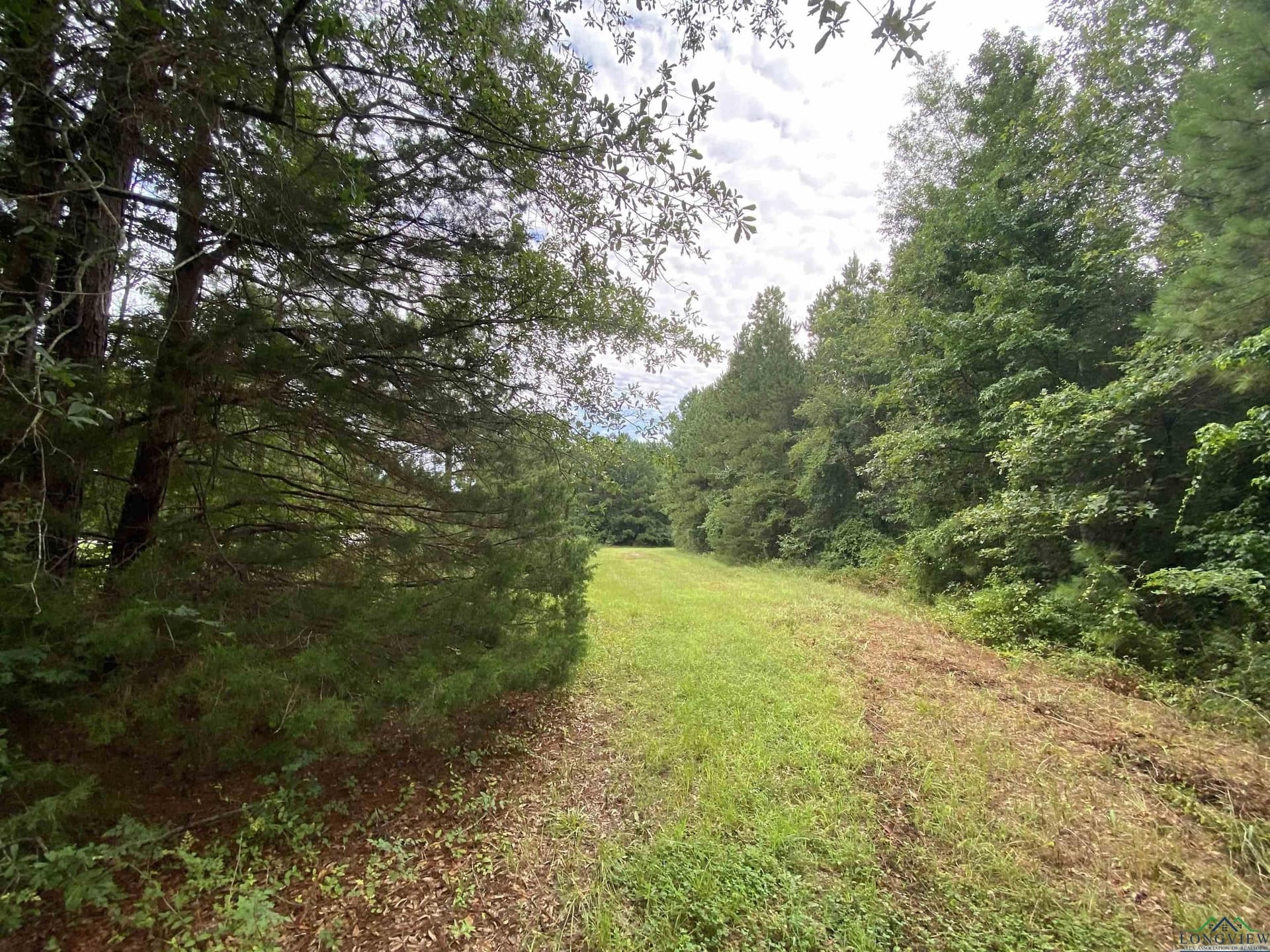 60 acres in Panola County - photo 15