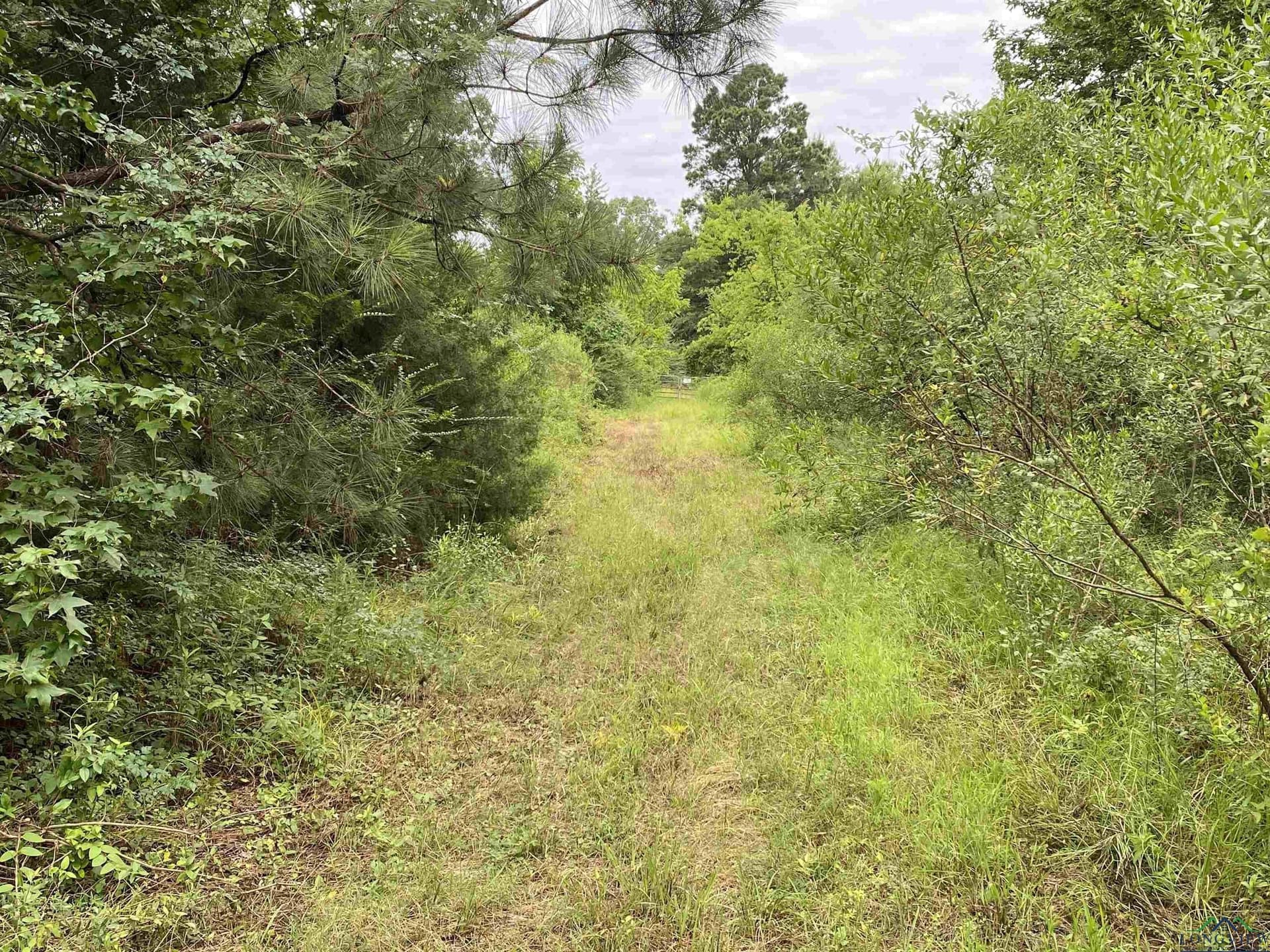 60 acres in Panola County - photo 11