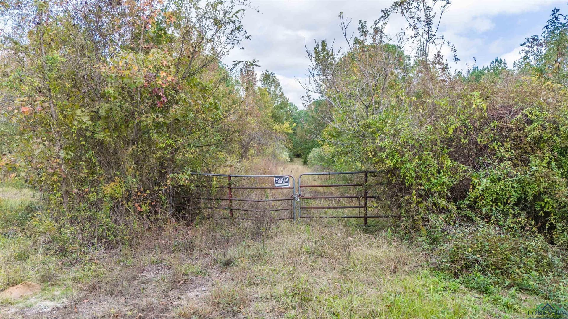 60 acres in Panola County - photo 6