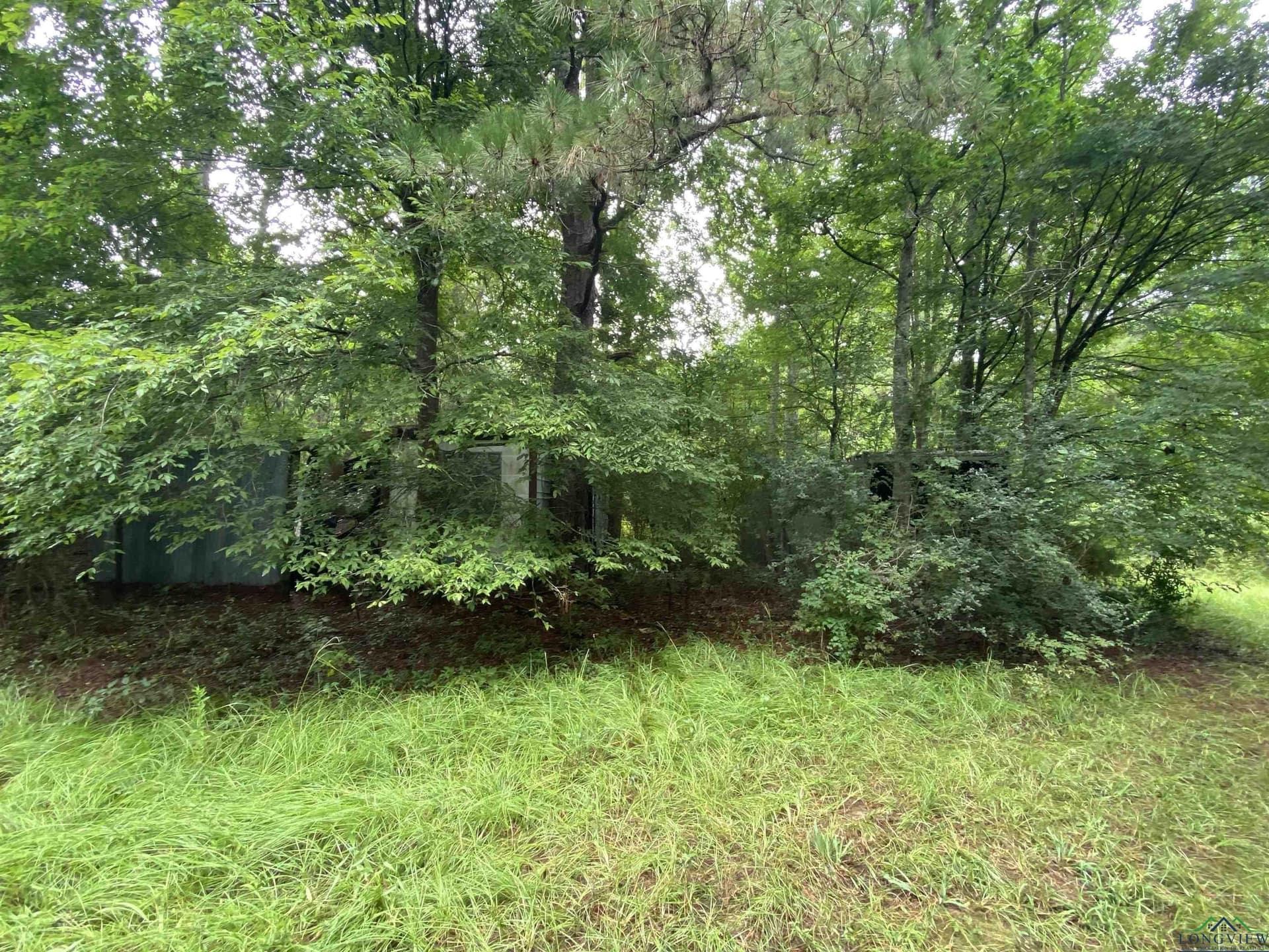 60 acres in Panola County - photo 10