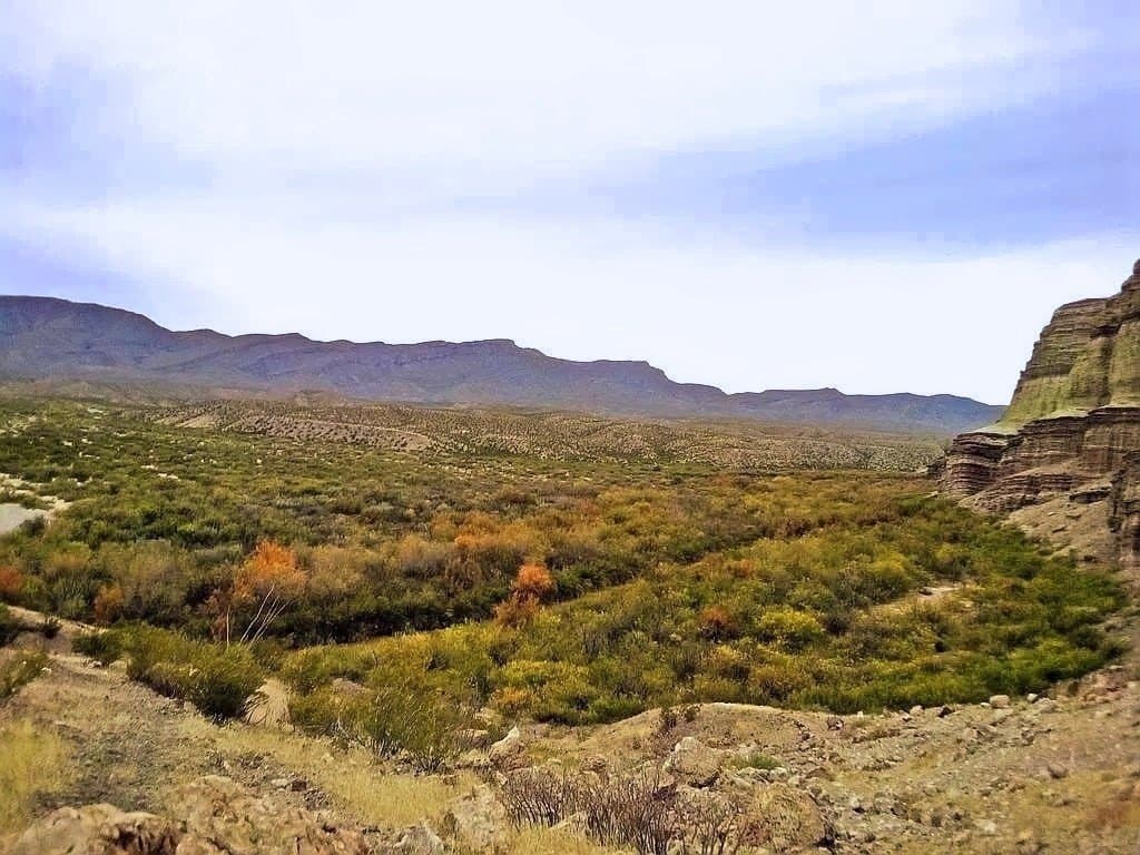 80 acres in Jeff Davis County - photo 17