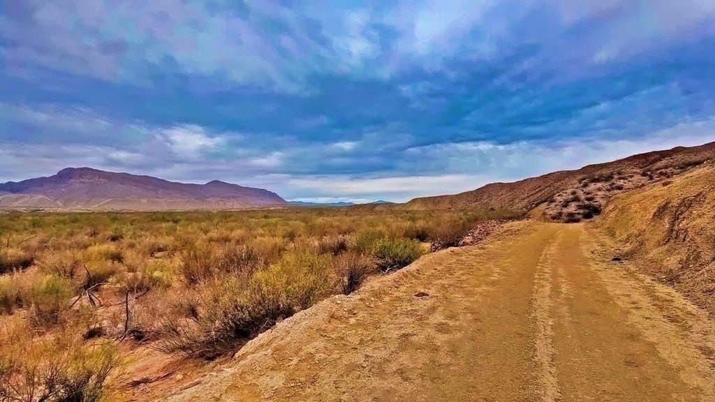 80 acres in Jeff Davis County - photo 4