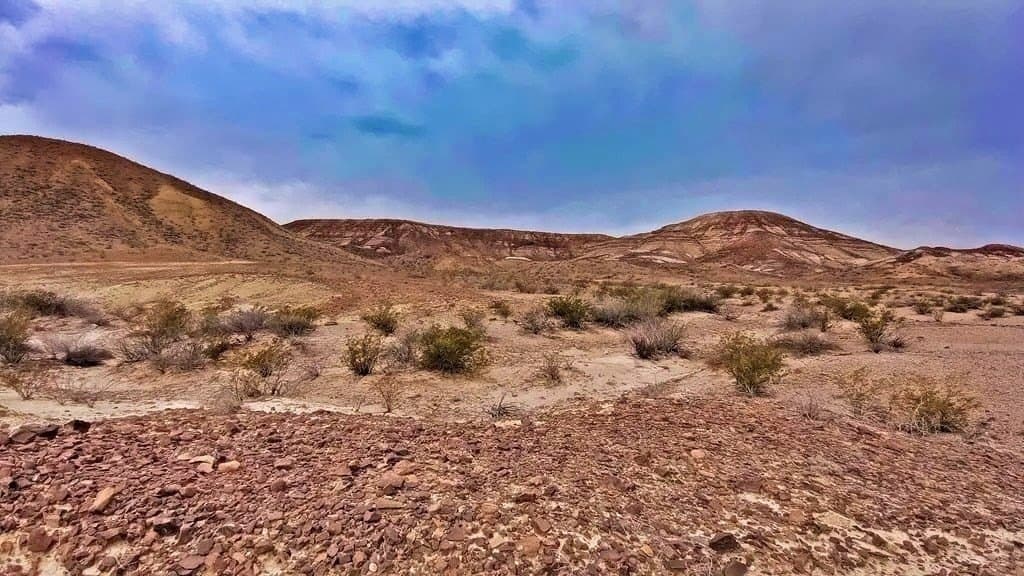 80 acres in Jeff Davis County - photo 6