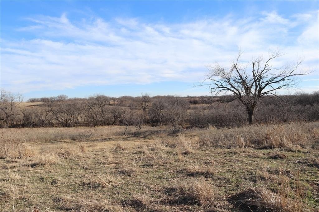 192 acres in Clay County - photo 10