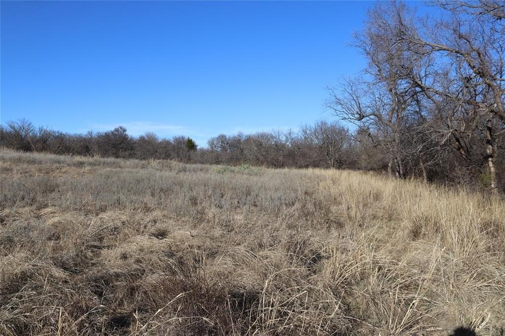 192 acres in Clay County - photo 11