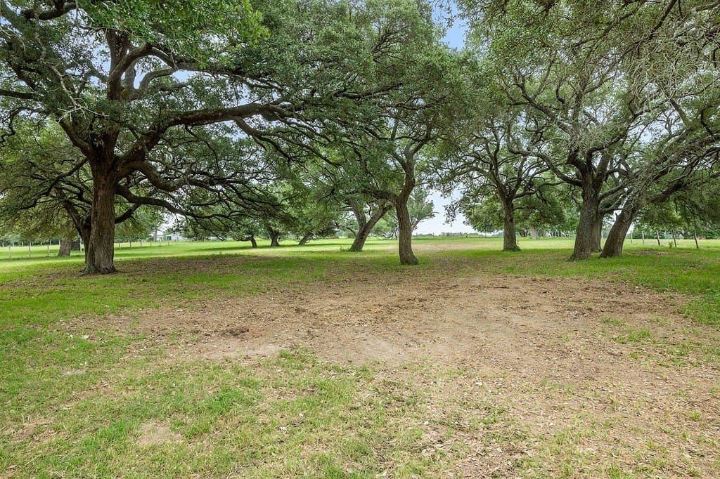10 acres in Fayette County - photo 4