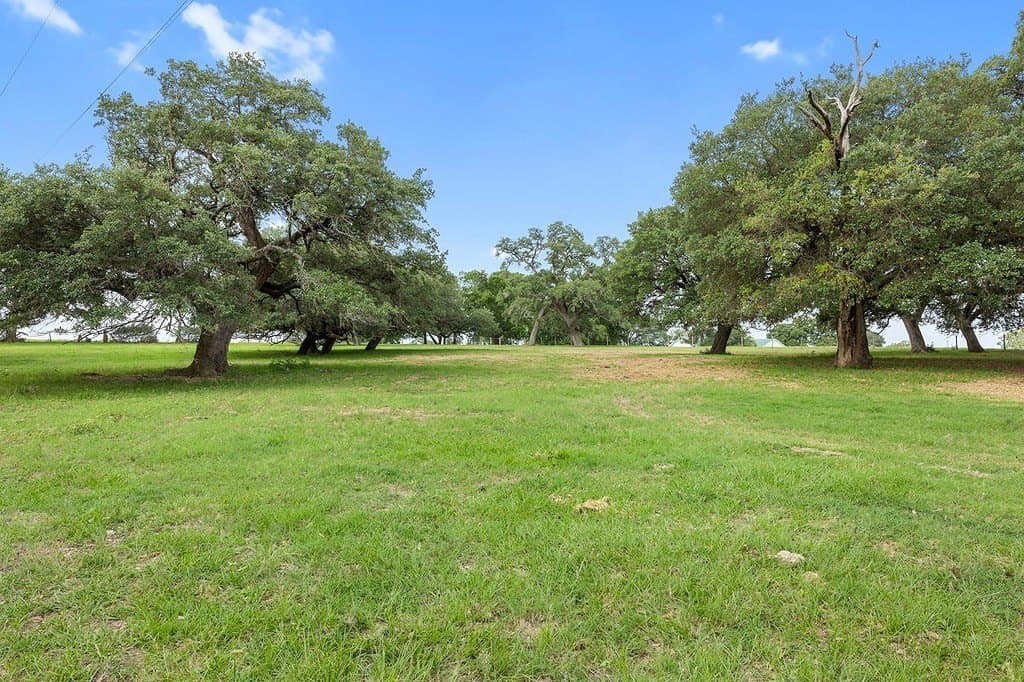 10 acres in Fayette County - photo 2
