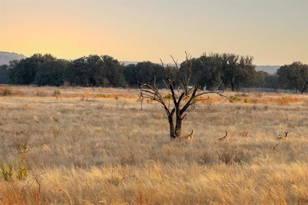 492.93 acres in Bosque County - photo 4
