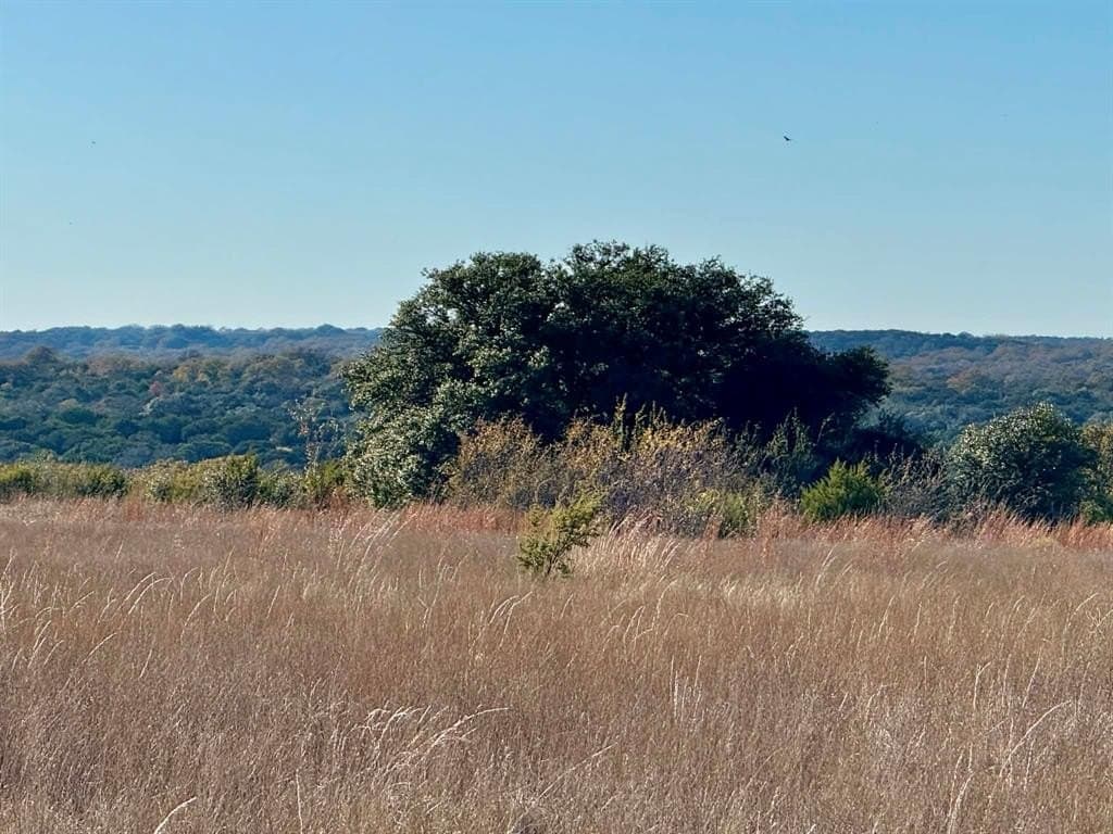 492.93 acres in Bosque County - photo 26