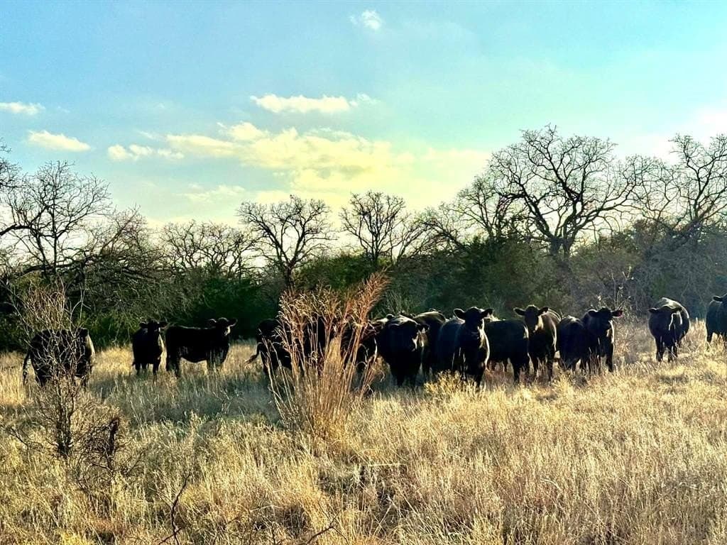 492.93 acres in Bosque County - photo 39