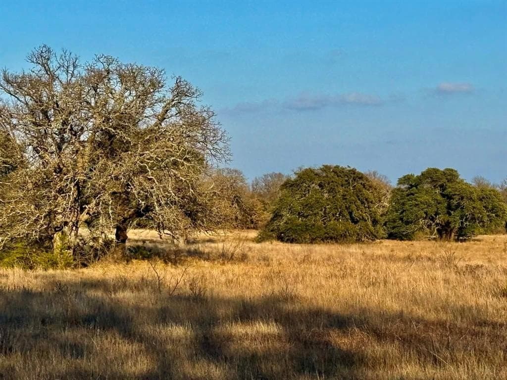 492.93 acres in Bosque County - photo 15