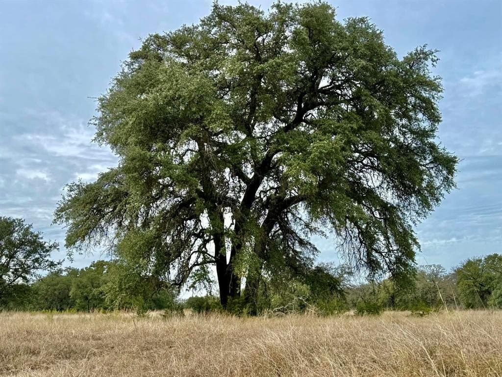 492.93 acres in Bosque County - photo 40