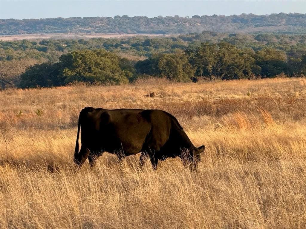 492.93 acres in Bosque County - photo 38