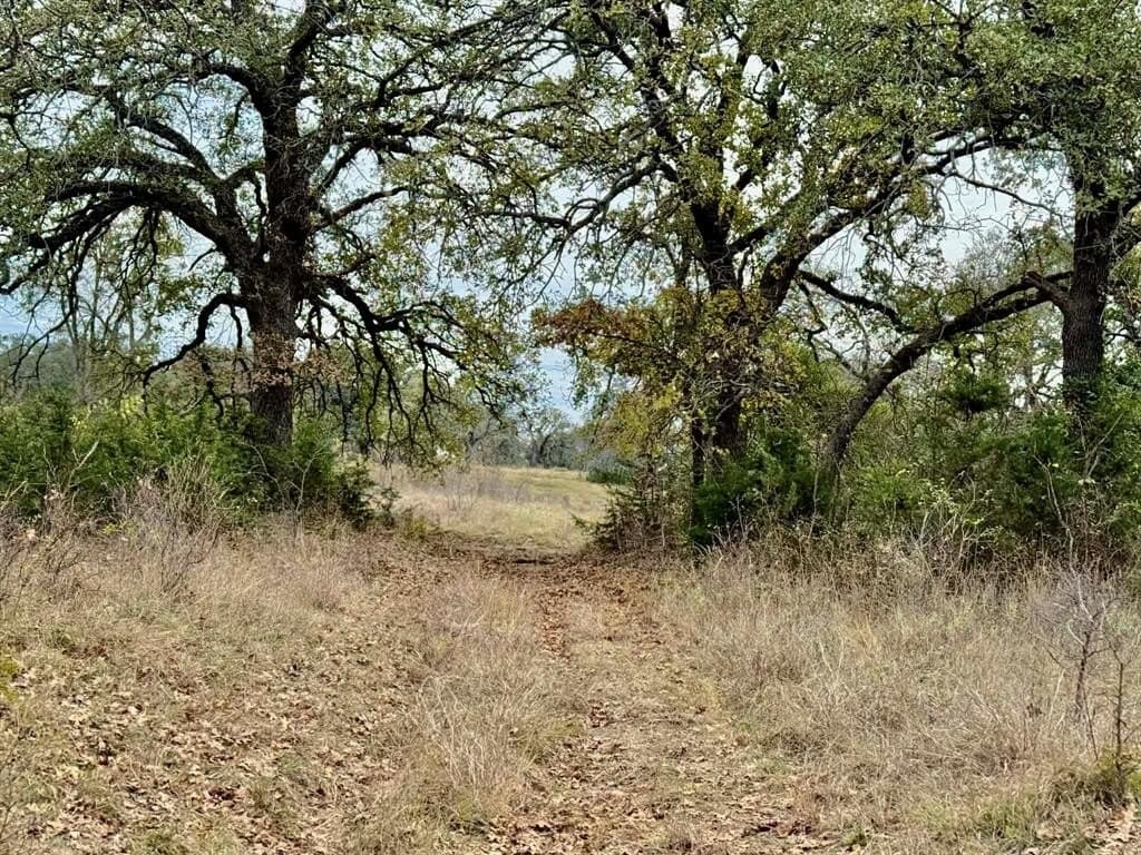 492.93 acres in Bosque County - photo 29