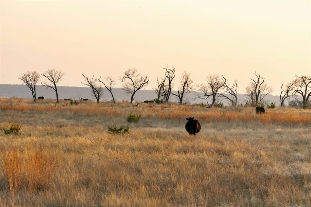 492.93 acres in Bosque County - photo 27