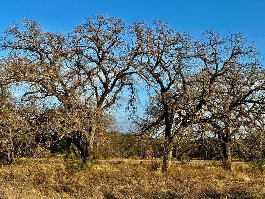 492.93 acres in Bosque County - photo 28