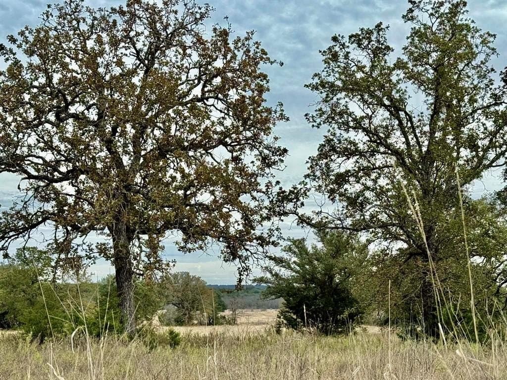 492.93 acres in Bosque County - photo 31