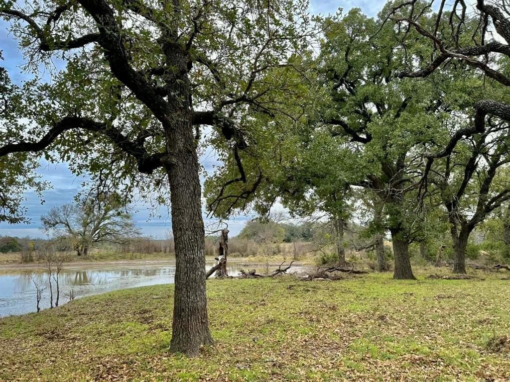 492.93 acres in Bosque County - photo 32
