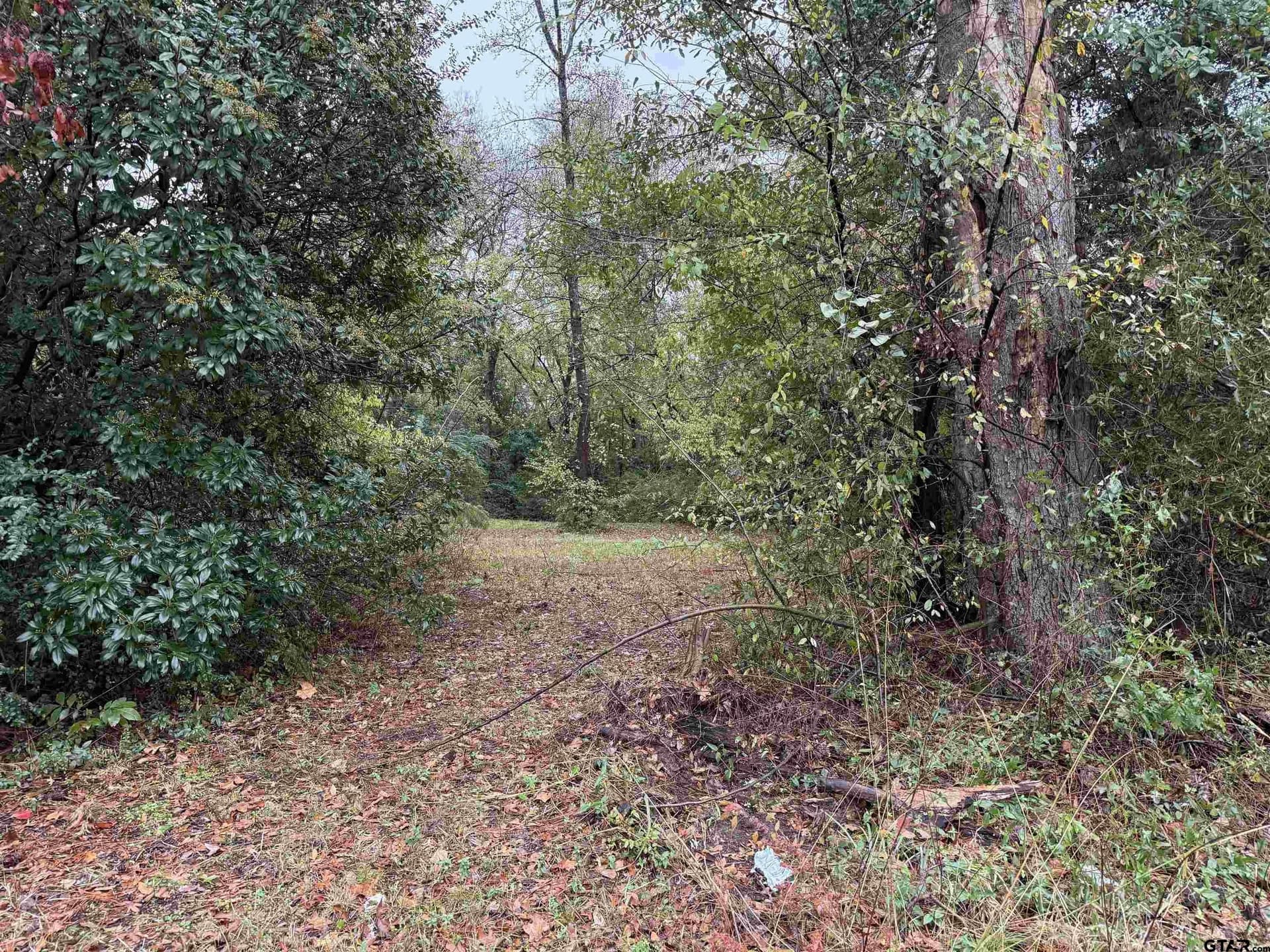 0.26 acres in Smith County - photo 3