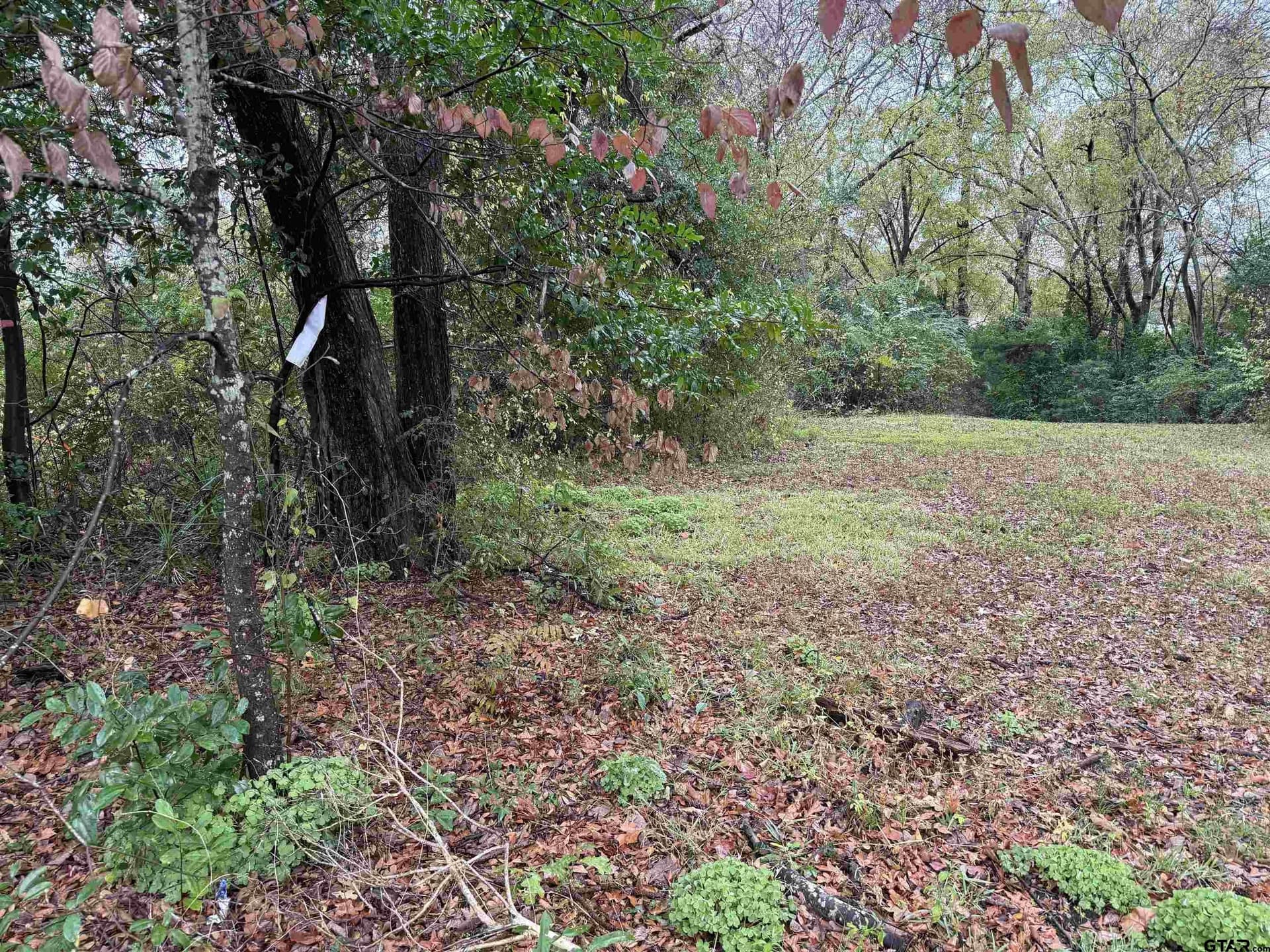 0.26 acres in Smith County - photo 4